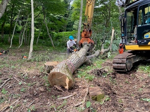 Logging site in Shinano Town