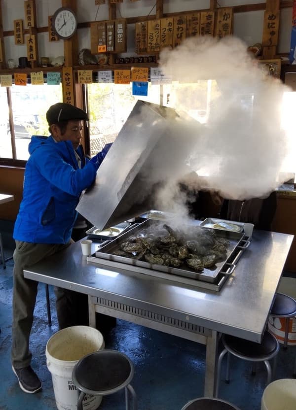 Maizuru Bay oysters information