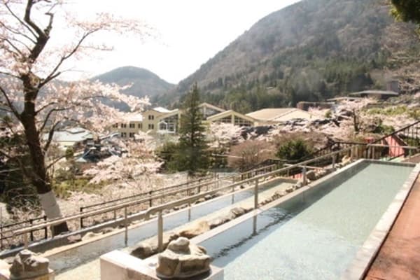 Yunessun panoramic open-air bath