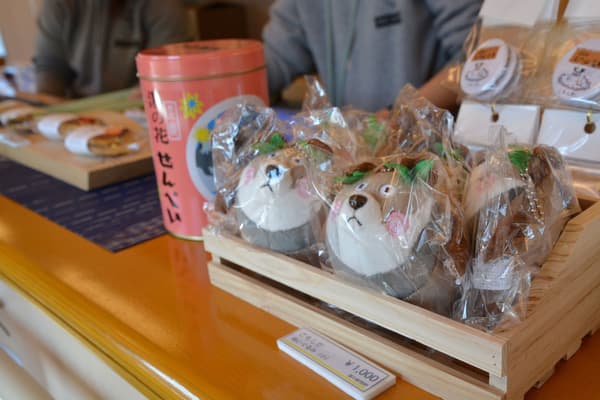 Vista interior de la zona de baños de pies dentro del tren