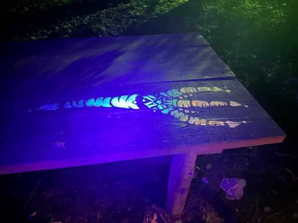 Hunt for Chibamura traces with UV light