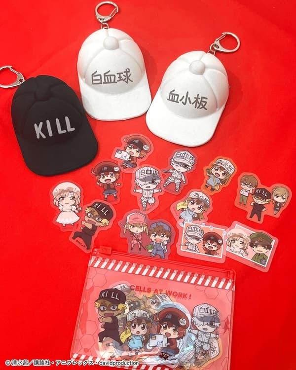 Hat keychains and flake stickers