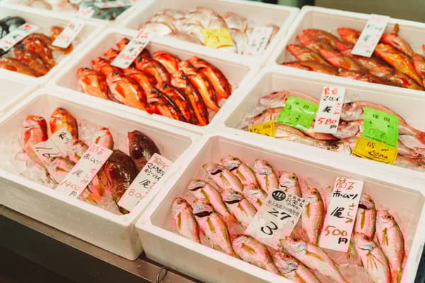 Seafood Market