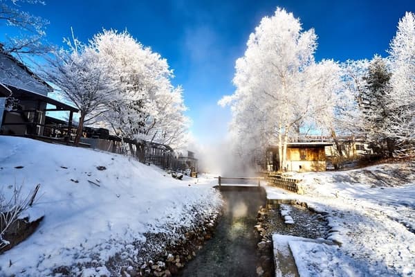 Árboles cubiertos de escarcha en la zona de Kawayu Onsen