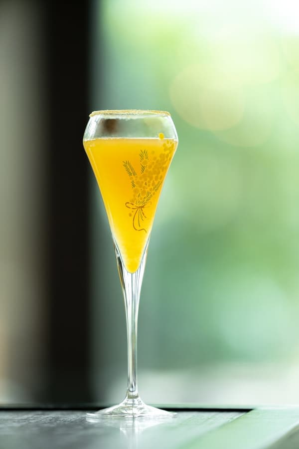 Mimosa Cocktail