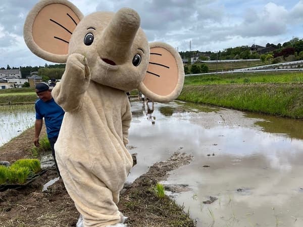 논에서 어린이들