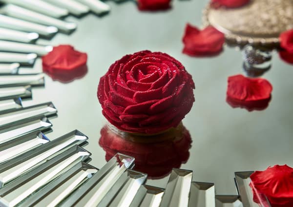 Ma Rose (Pensamientos en una Rosa)