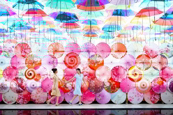 Water reflection and umbrella sky in the herb garden