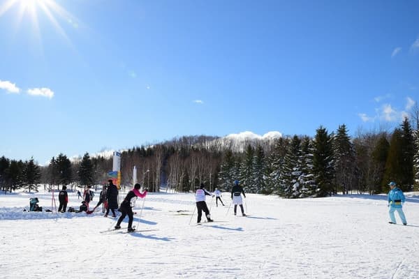 Cross-country skiing