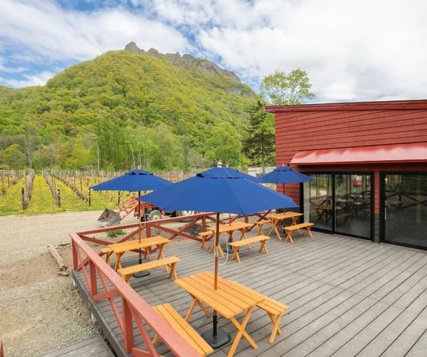 Vista del viñedo y el monte Hakkenzan desde la terraza del restaurante