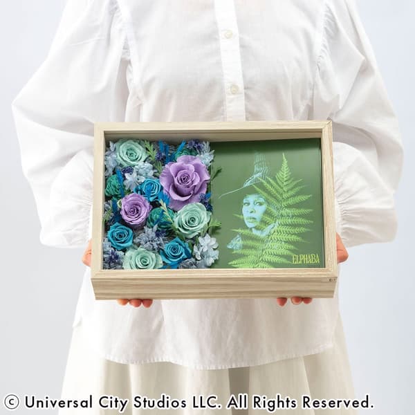 Detalle del arte enmarcado de Elphaba