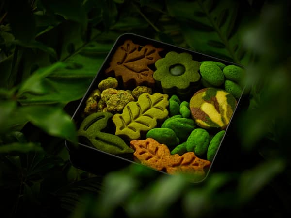 Botanical cookie tin