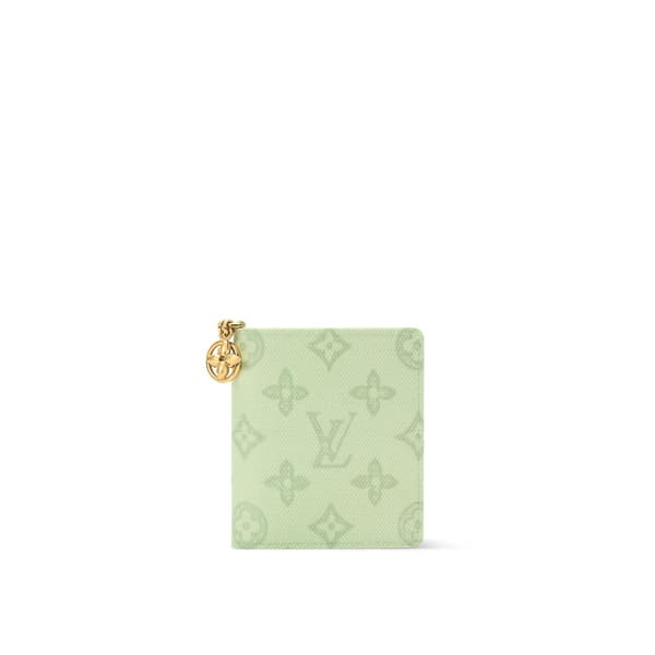 Louis Vuitton accessories