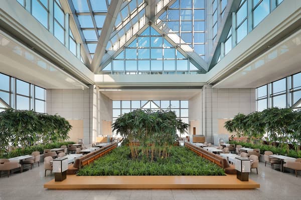 The Peak Lounge & Bar