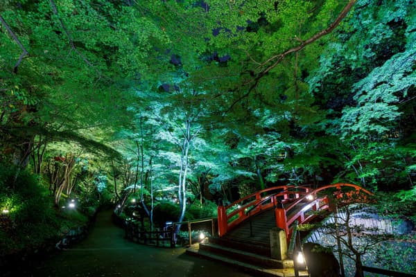 Zanshō Installation