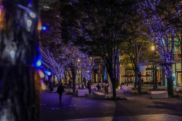 THE YOKOHAMA ILLUMINATION