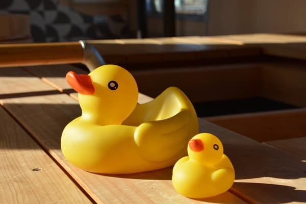 Pasajeros disfrutando de la experiencia del baño de pies dentro del tren