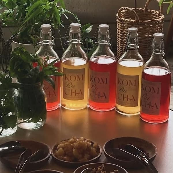 SEA ROOM KOMBUCHA Products