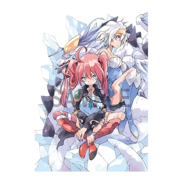 Volume 20 Cover Illustration