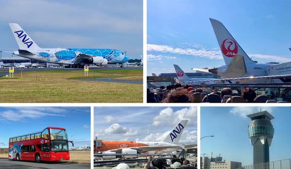 SkyBus en el Aeropuerto de Narita
