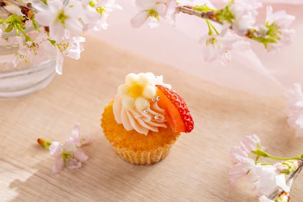 벚꽃 컵케이크