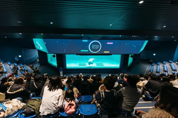 Marine Theater con exhibiciones de tecnología de vanguardia