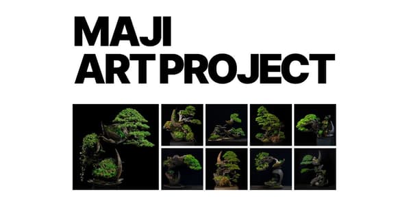 Maji艺术项目视觉