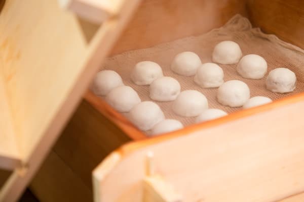 Kashiho Imuraya Wagashi (Sasa-manju Hojoka)