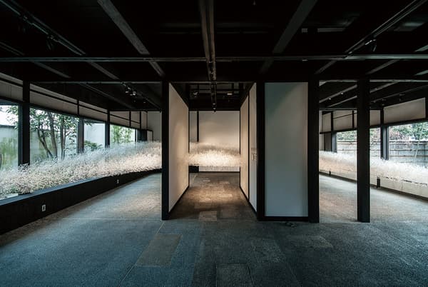 Gallery SUGATA exhibition space