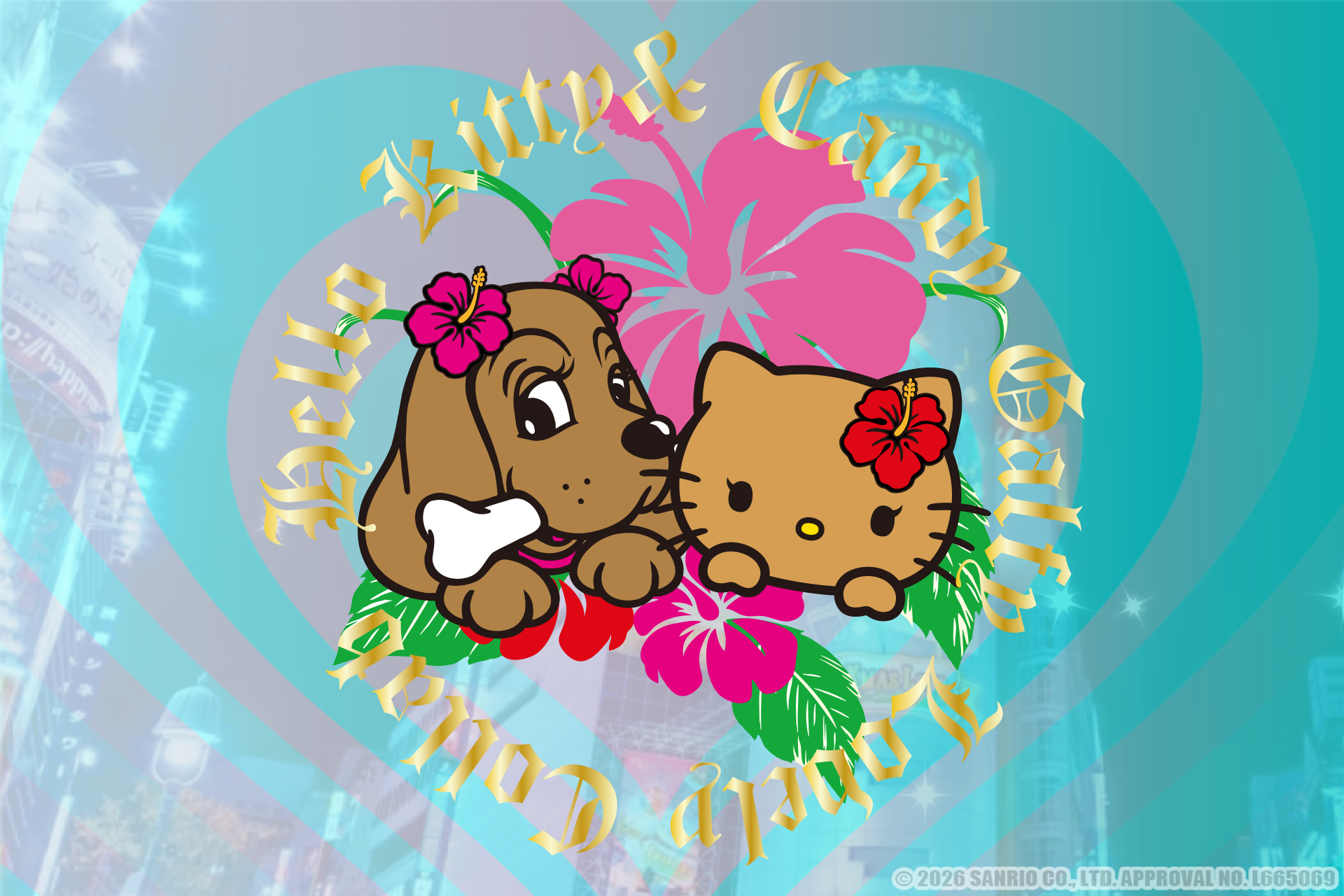 CANDY GALFY and Hello Kitty Collaboration