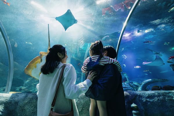 SEA LIFE Nagoya Interior 4