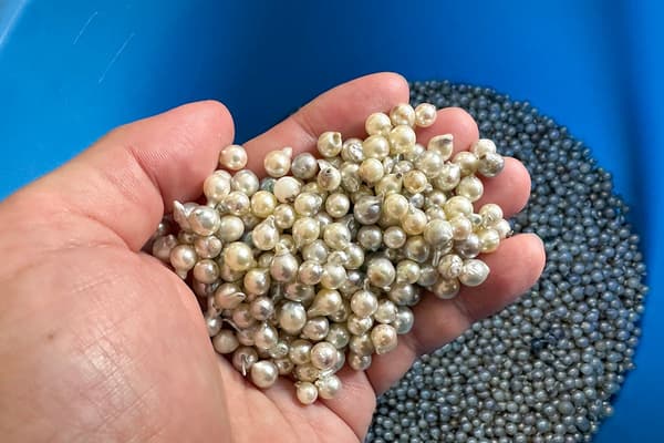 전 세계의 진주가 모이는 진주 성역, 고베