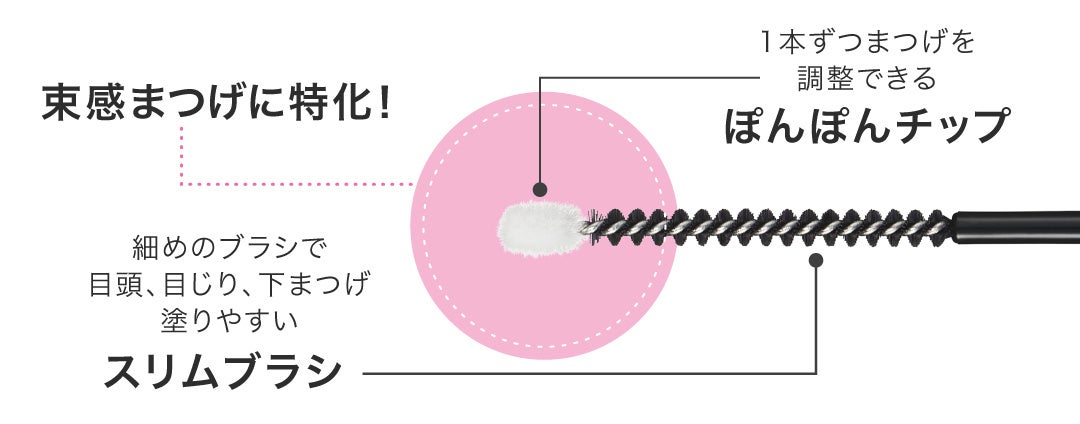 รายละเอียดแปรง