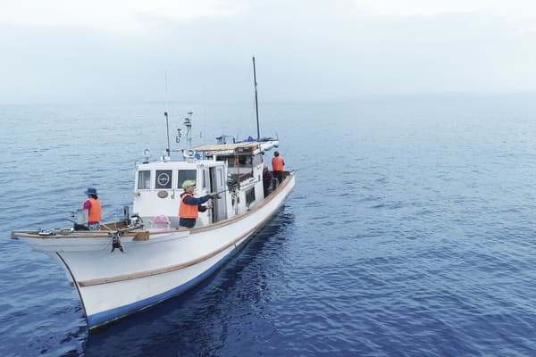 Okinawa Sea Fishing