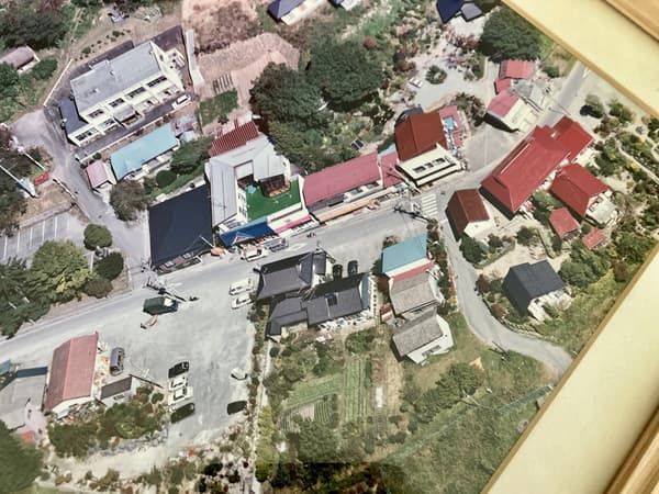 The former Tsushima district