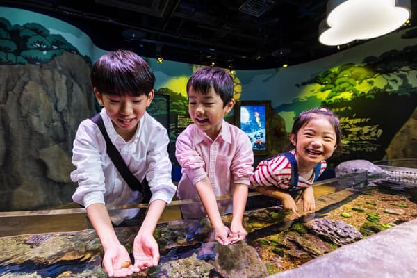 SEA LIFE Nagoya Interior 7