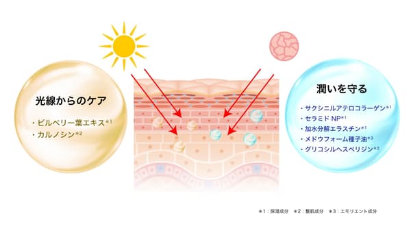외부 요인으로부터 보호
