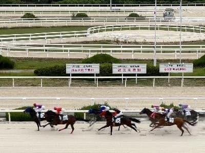 加古川袜子赛马宣传活动