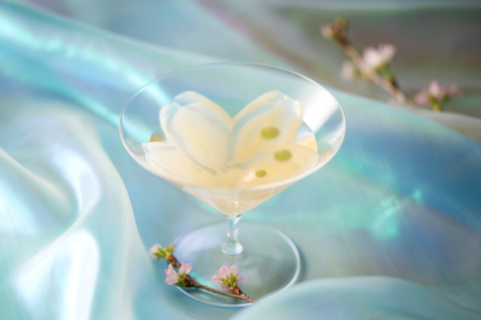 사쿠라 드롭 상세 정보