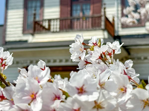 Relaxed cycling pace