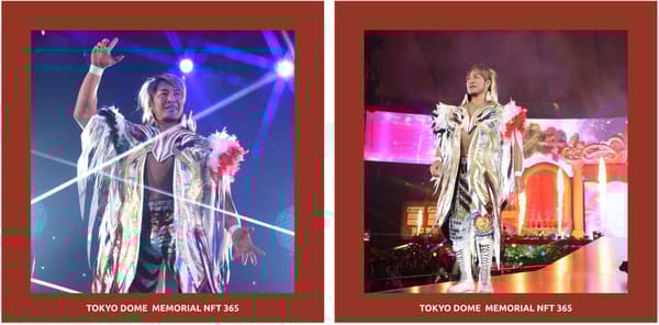 完整收藏 NFT — 稍后分发的 2 个额外代币