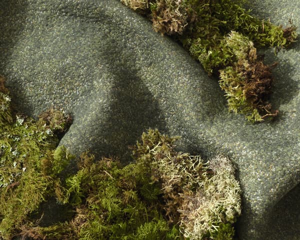 特别展览型号 1