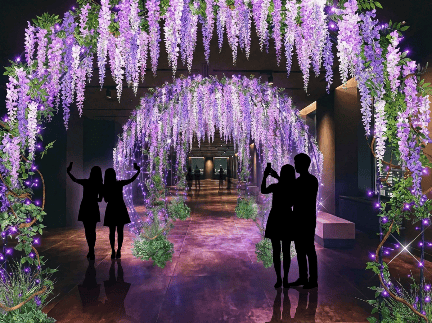 Eco-Illumination Photo Spot