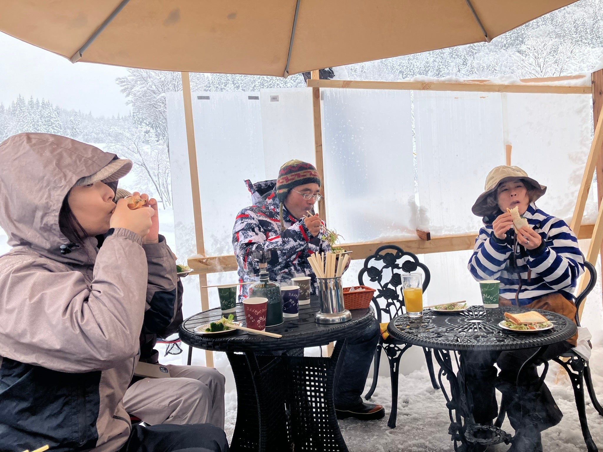 วิวทิวทัศน์หิมะ