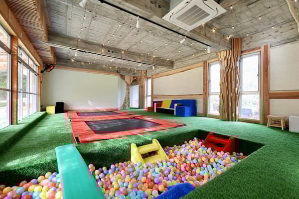 Amplio espacio de juego interior con césped artificial