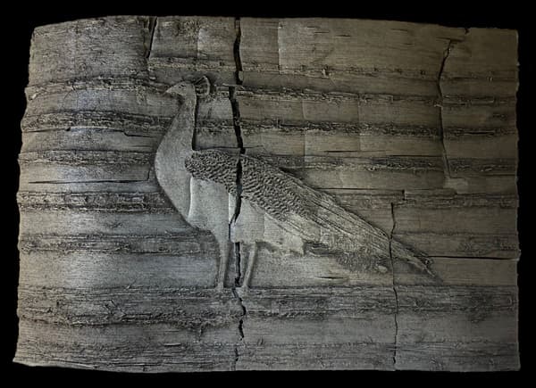 GOJO+ art exhibition