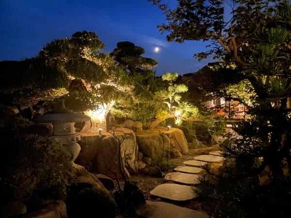 Japanese garden carefully cultivated over many years