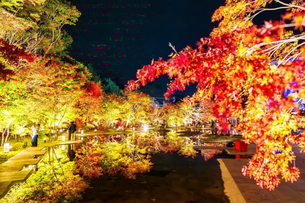 Iluminación de reflejo en el agua
