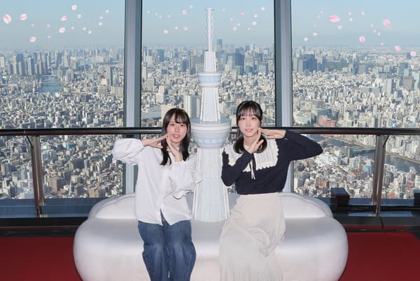 특별 조명 사쿠라조라