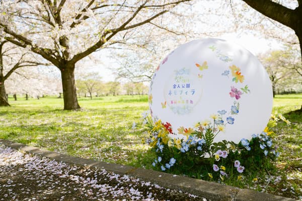 夜晚入園步道上，圓形彩燈與花形發光裝飾交相輝映